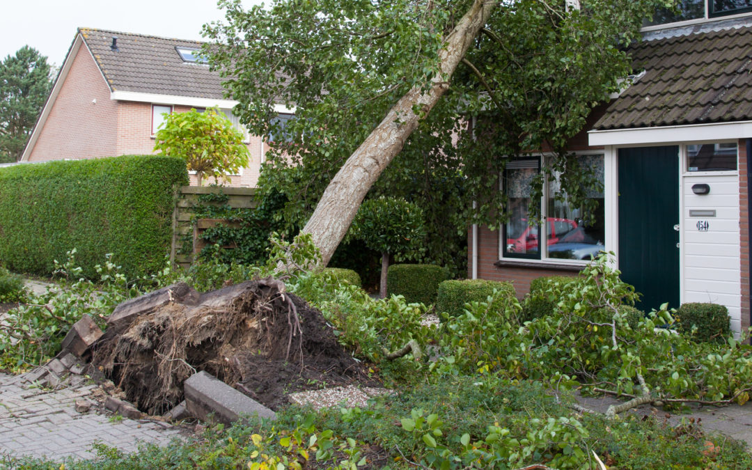 Storm damage during storm season in Charleston, SC. B. Chaney Improvements fixes storm damage at homes and businesses.
