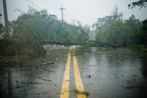 Storm damage during storm season in Charleston, SC. B. Chaney Improvements fixes storm damage at homes and businesses.