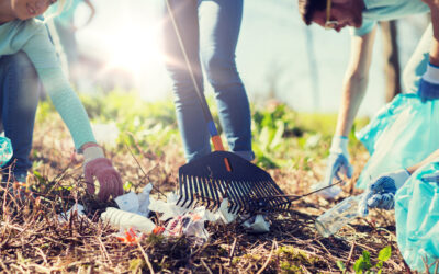 April is for Spring Cleaning and Project Planning