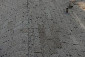 Roof damage in the Lowcountry of South Carolina