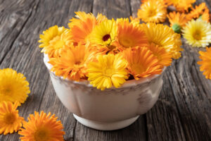 Fresh calendula flowers in a bowl. It's the traditional October flower.