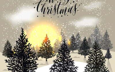 Merry Christmas from B. Chaney