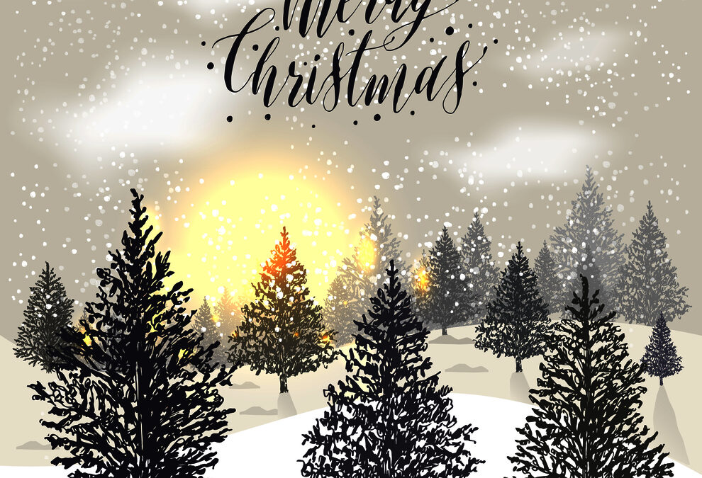 Merry Christmas from B. Chaney Improvements builder in Charleston, SC